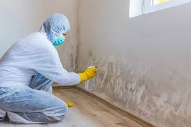  Morehead City, NC Mold Removal & Remediation Pros