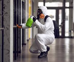 Best Commercial Mold Inspection  in Morehead City, NC